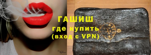 дживик Няндома