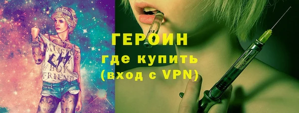 дживик Няндома